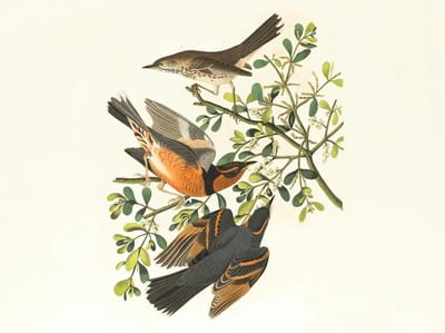 Why Clean Logs Matter in Forensics - And How to Get Them Right